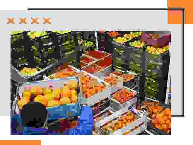 Перевозка скоропортящихся продуктов в Гае